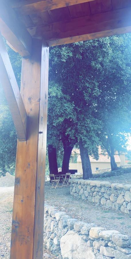 La Bergerie Du Chene Konuk evi Omessa Dış mekan fotoğraf