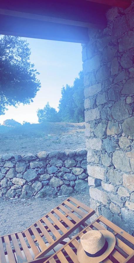 La Bergerie Du Chene Konuk evi Omessa Dış mekan fotoğraf