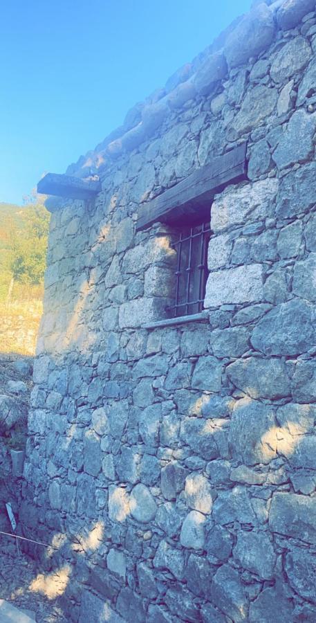 La Bergerie Du Chene Konuk evi Omessa Dış mekan fotoğraf