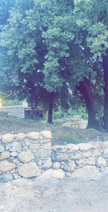 La Bergerie Du Chene Konuk evi Omessa Dış mekan fotoğraf